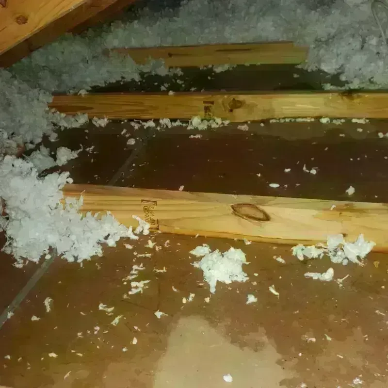 Attic Water Damage in Humboldt County, CA