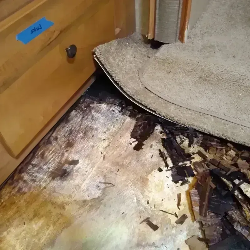 Best Wood Floor Water Damage Service in Humboldt County, CA